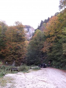 Terra Firma study in Apuseni Nature Park