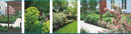 Churchill Retirement Planting Schemes Landscape Planting Schemes
