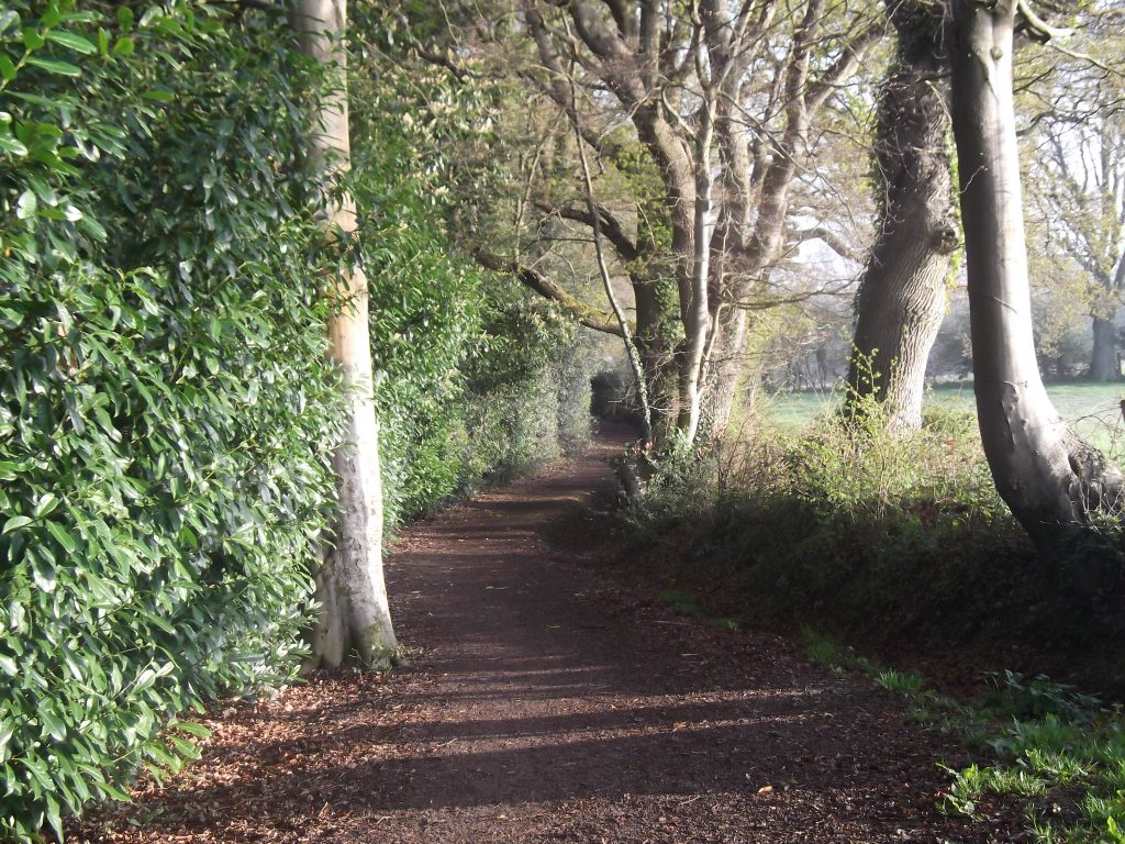 Historic Landscape at Rowlands Castle