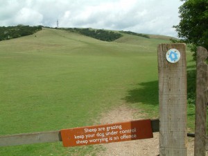 Butser_Hill