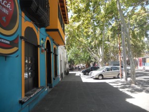 The tree lined streets of Mendoza