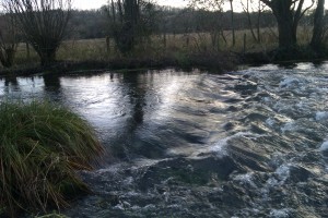 Divine Chalk Landscape - The River Itchen