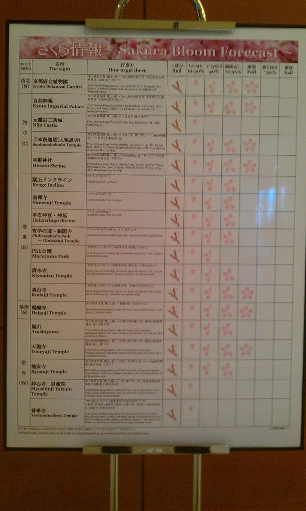 Cherry blossom timetable