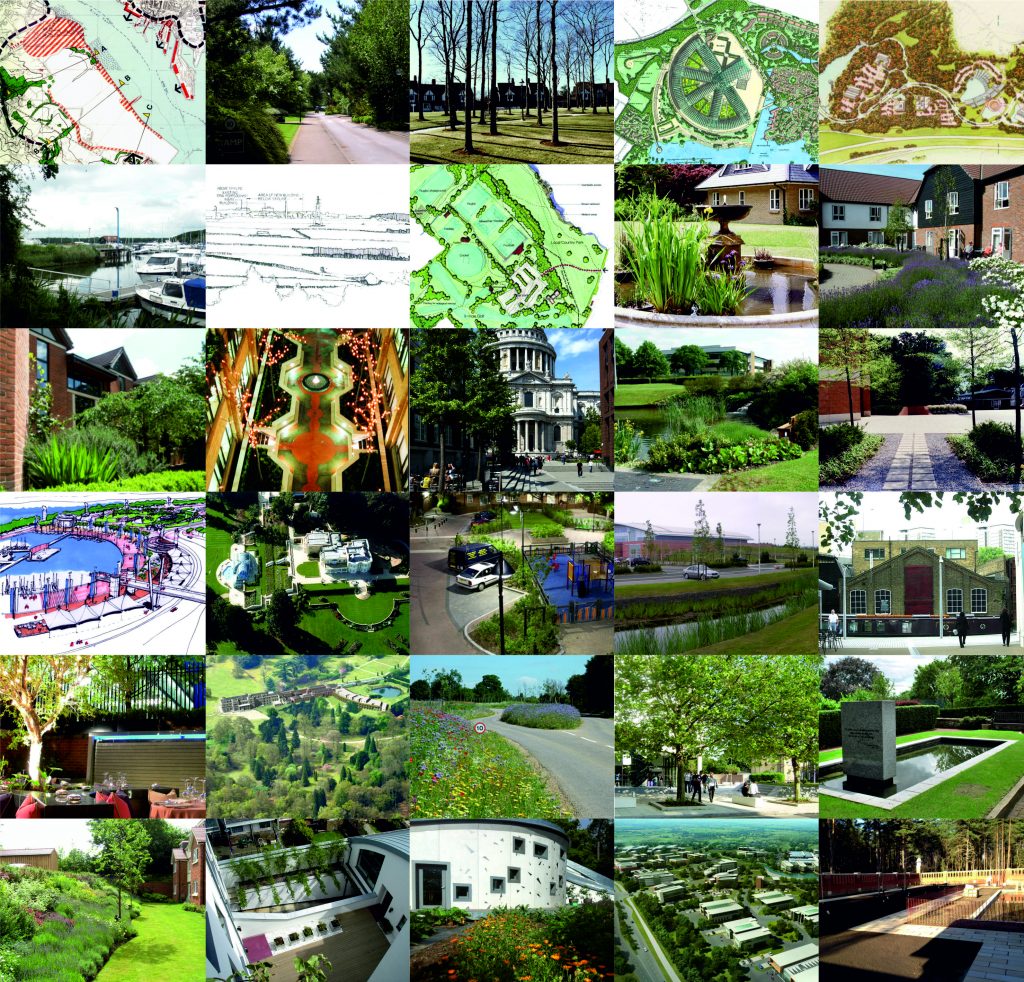 30 terra firma projects