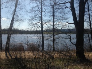 Surveying the landscape for a nature walk at a spa near Vilnius