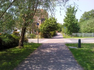 Housing scheme making the most of natural features and species