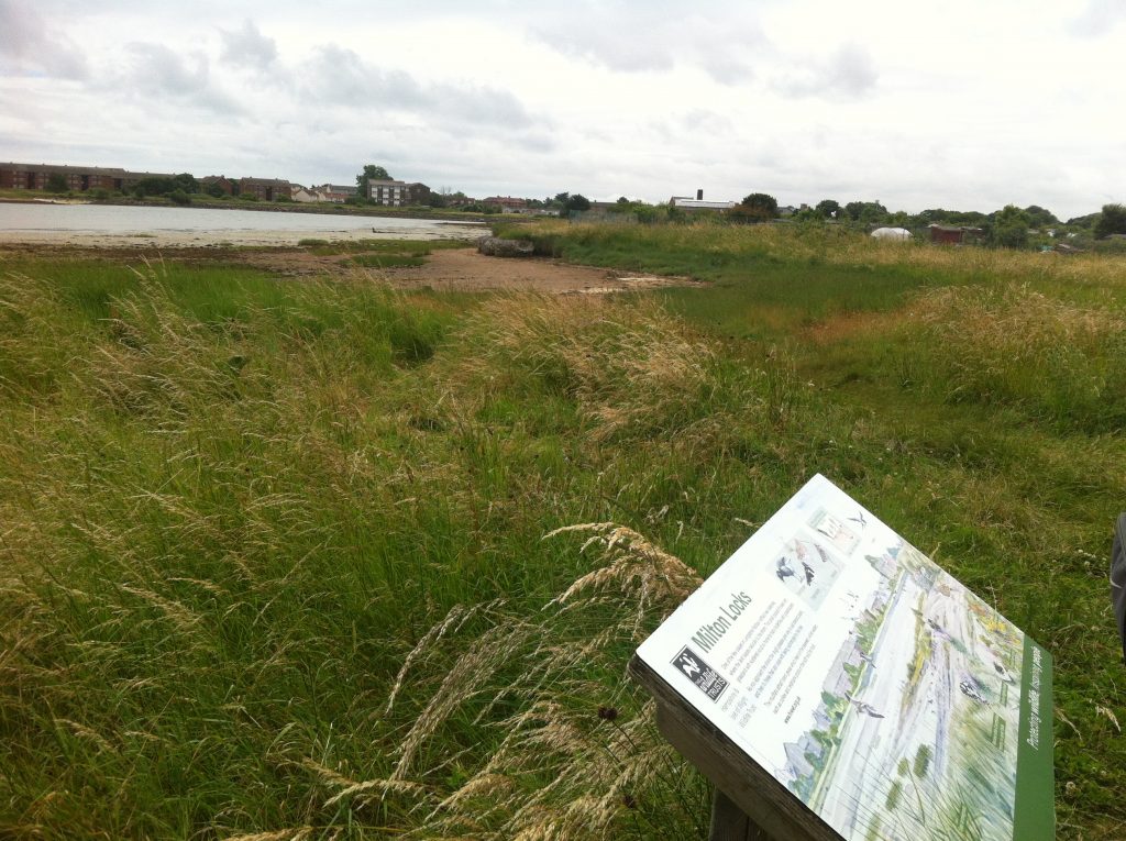 Milton Locks Nature Reserve