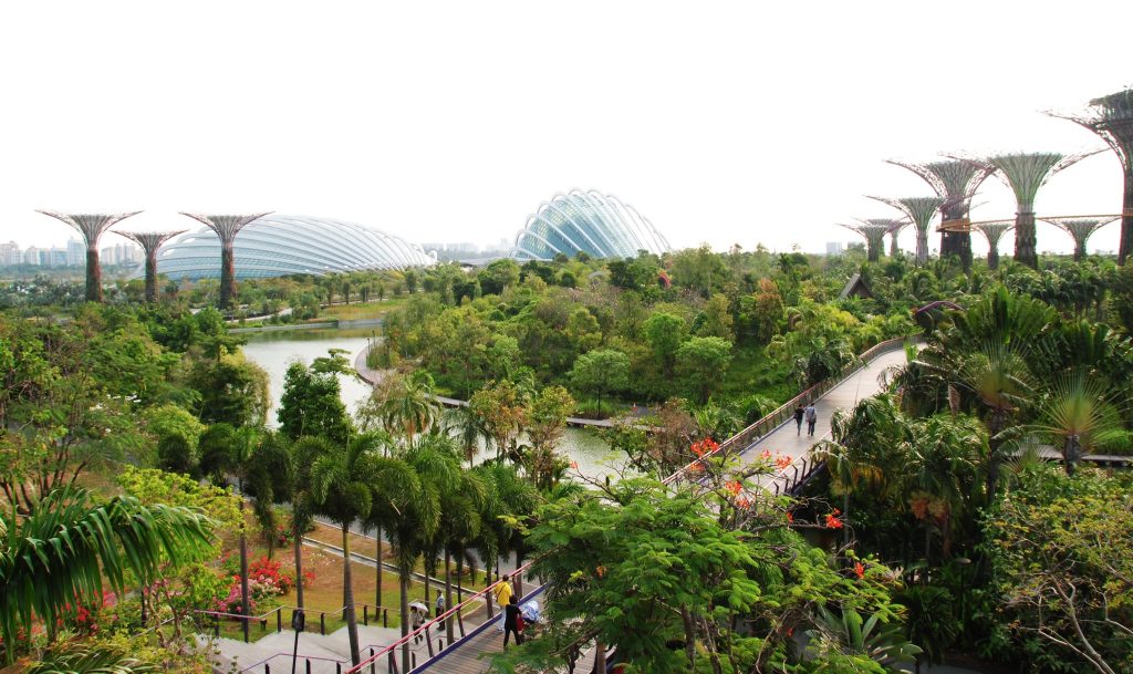Gardens by the bay, Singapore; photo credit LWYang (Flickr) https://www.flickr.com/photos/lwy/
