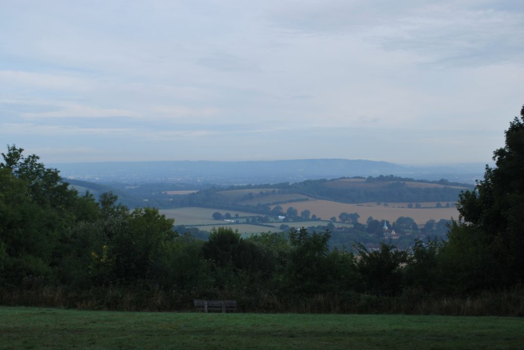 All shades of green in the landscape