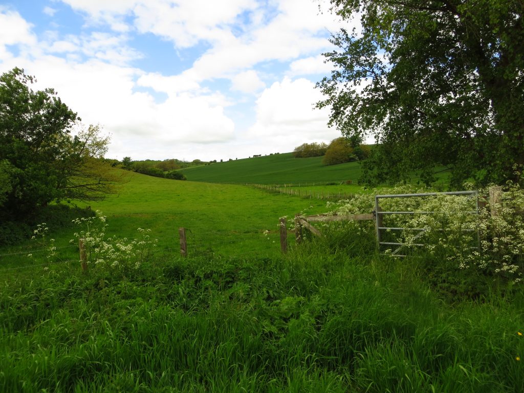 Landscape at the edge of Brighton