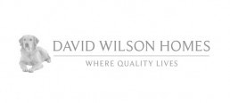 David Wilson Homes