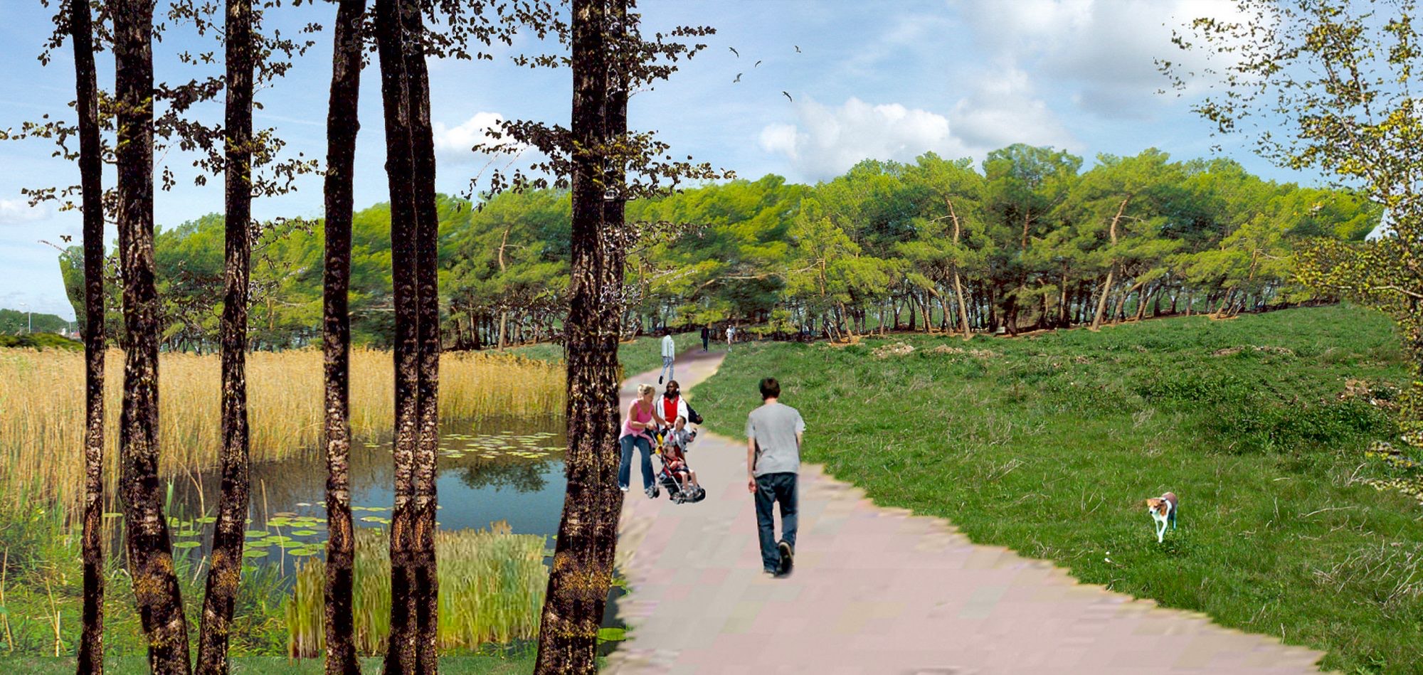 Enviropark, Portsmouth, Landscape Architecture, Masterplanning