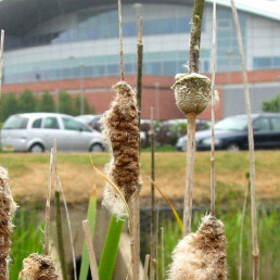 NATS Air Traffic Control, Prestwick