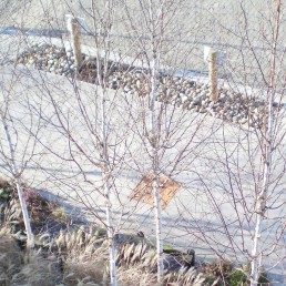 NATS Air Traffic Control, Prestwick, Landscape Architecture, Corporate and Commercial