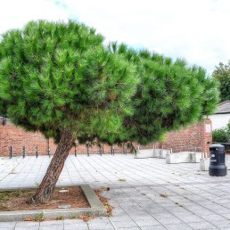 University of Portsmouth, Landscape Architecture, Public & Urban,