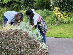 Volunteering team