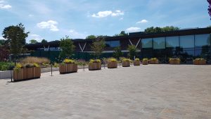 AELTC Wimbledon