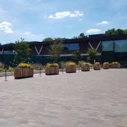 AELTC Wimbledon
