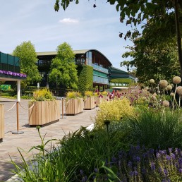 AELTC Wimbledon