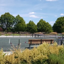 AELTC Wimbledon