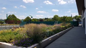 AELTC Wimbledon