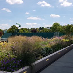 AELTC Wimbledon