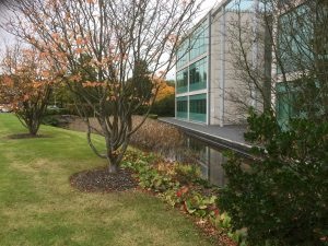 Chineham Business Park