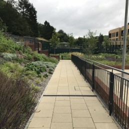 St Nicholas School, Croydon