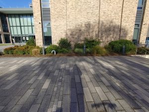 Brighton Metropolitan College