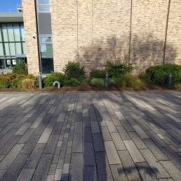 Brighton Metropolitan College