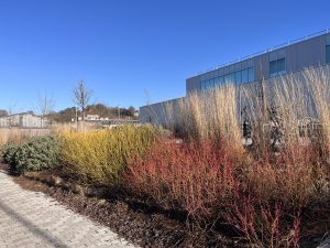 Winchester Leisure Centre