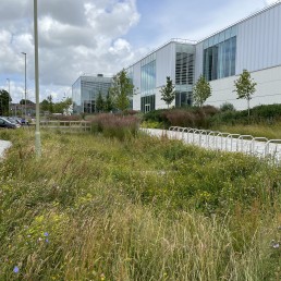 Winchester Leisure Centre