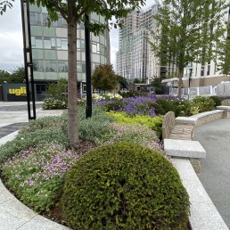 White City Advanced Works