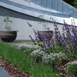 Maggie's Cancer Care Centre